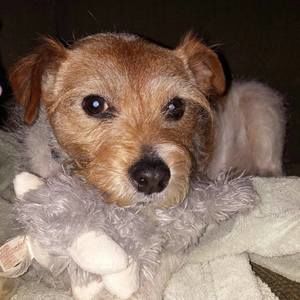 Meet your Posher, Diane